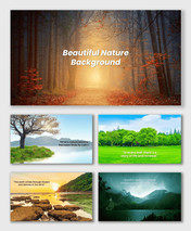 Beautiful Nature Background with forest path, sunlight, green trees, mountains, and calm scenic landscapes.