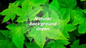 401365-natural-background-green-01