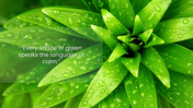 401365-natural-background-green-03