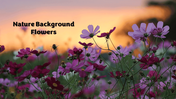 401366-nature-background-flowers-01