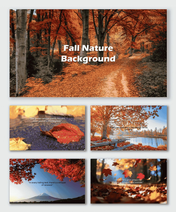 Fall nature background slides with golden-orange leaves, forest path, autumn trees, and warm sunlight glow.