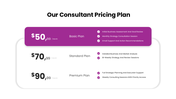 401381-consulting-business-plan-10