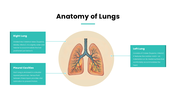 401478-human-lungs-presentation-03