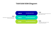 401533-tam-sam-som-diagram-09