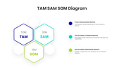 401533-tam-sam-som-diagram-10