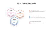 401534-tam-sam-som-slides-07