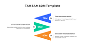 401535-tam-sam-som-slide-template-02