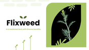401539-flixweed-01