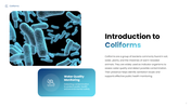 Coliforms presentation with scientist, bacteria samples, water testing, contamination sources, and detection methods. - slide 2
