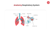 401555-pulmonology-03