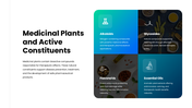 401568-pharmacognosy-07