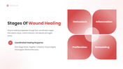401582-wound-healing-process-04
