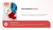 401582-wound-healing-process-05