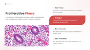 401582-wound-healing-process-07