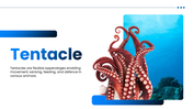 Tentacle preesentation overview with octopus, squid, jellyfish, sea anemone, adaptations, and research applications. - slide 1