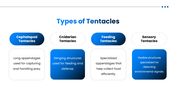 Tentacle preesentation overview with octopus, squid, jellyfish, sea anemone, adaptations, and research applications. - slide 4