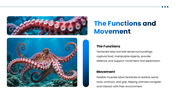 Tentacle preesentation overview with octopus, squid, jellyfish, sea anemone, adaptations, and research applications. - slide 5