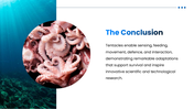 Tentacle preesentation overview with octopus, squid, jellyfish, sea anemone, adaptations, and research applications. - slide 10