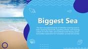 Ocean ppt with turtle, shark, blue sea theme, bold title, rounded boxes, and clean layout.