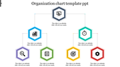 Organizational chart with colorful hexagonal shapes arranged in a flow, linked with thin lines, on a white background.