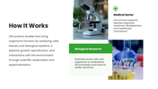 46053-life-science-pp-presentation-06