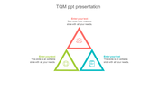 TQM slide with three triangular sections in red, green, and blue, showcasing icons and placeholder text areas.