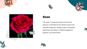 47375-flower-theme-powerpoint-02
