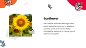 47375-flower-theme-powerpoint-04