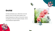 47375-flower-theme-powerpoint-05