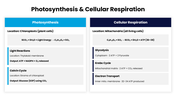 47662-biology-slide-template-09