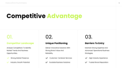 478266-executive-summary-slide-template-ppt-06