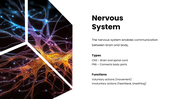 478929-neurology-powerpoint-slides-04