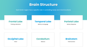 478929-neurology-powerpoint-slides-05