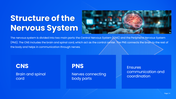 478930-neurology-powerpoint-template-free-download-04