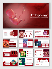 Embryology slide deck with a red theme, covering topics like fertilization, development stages, and organ systems.