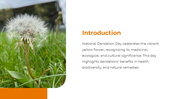 501331-national-dandelion-day-02