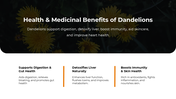 501331-national-dandelion-day-03