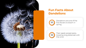 501331-national-dandelion-day-04