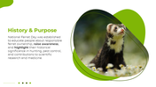 501332-national-ferret-day-03