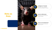 501333-world-rat-day-05