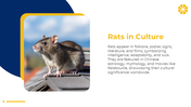 501333-world-rat-day-06