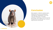 501333-world-rat-day-07