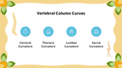 501457-biology-subject-for-middle-school-vertebral-classification-04