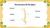 501457-biology-subject-for-middle-school-vertebral-classification-05