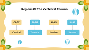 501457-biology-subject-for-middle-school-vertebral-classification-06