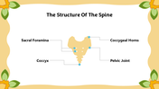 501457-biology-subject-for-middle-school-vertebral-classification-07
