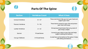 501457-biology-subject-for-middle-school-vertebral-classification-08