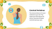 501457-biology-subject-for-middle-school-vertebral-classification-09