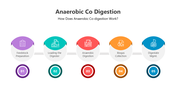 501480-anaerobic-co-digestion-02