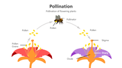 501482-pollination-01